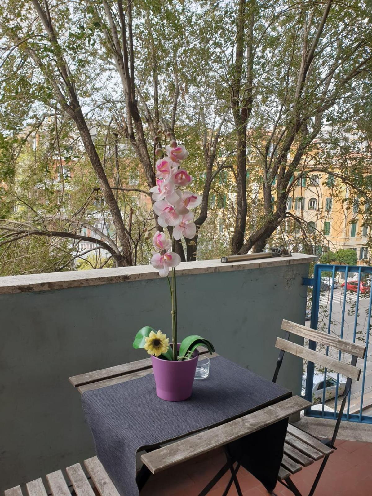 Trastevere Alojamento de Acomodação e Pequeno-almoço